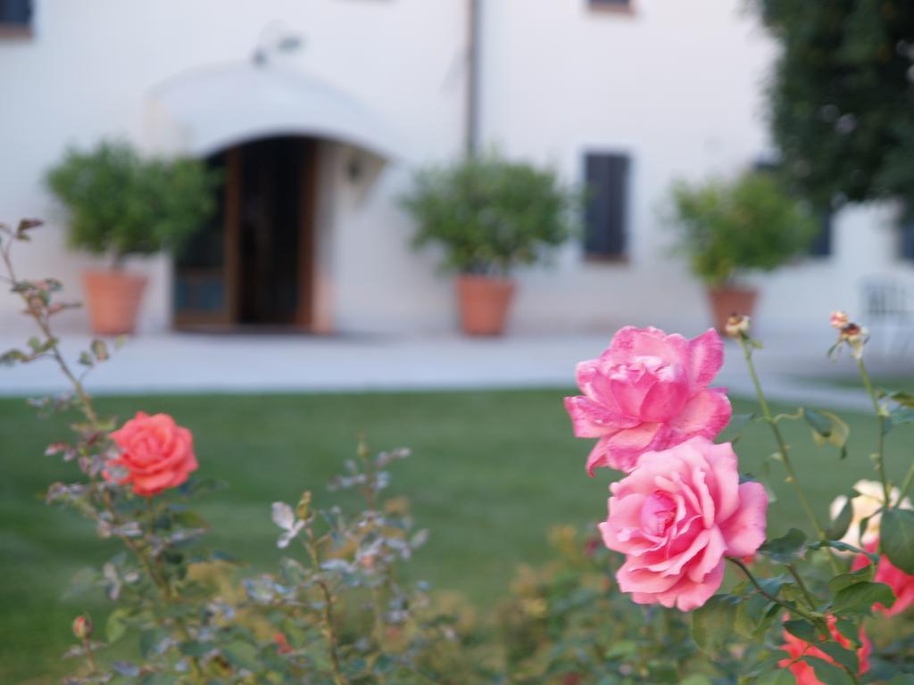 Col Delle Rane Bed and Breakfast Caerano Di San Marco Eksteriør billede